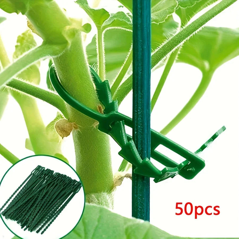 GreenFix Pflanzenbinder | 50er-Set Verstellbare Kabelbinder | Wiederverwendbar | Für Tomaten, Kletterpflanzen & Rankhilfen