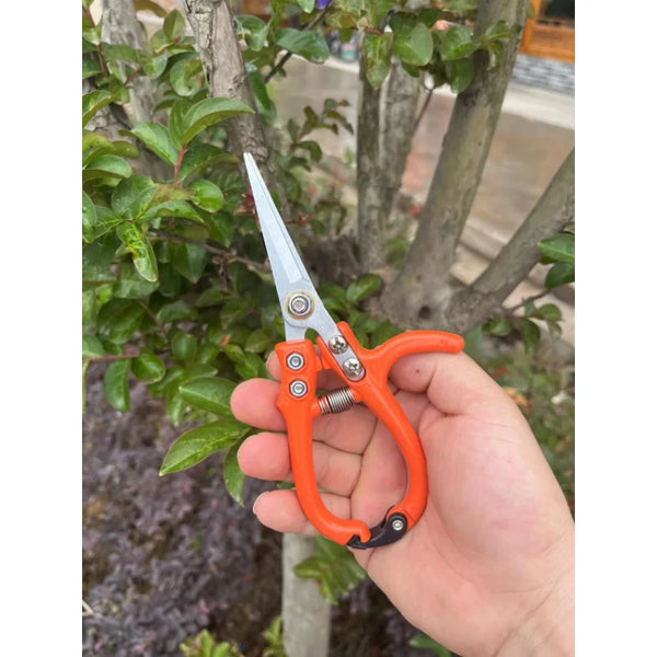 Gartenschere CUTNOVA ProGrip | Edelstahlklinge | Sicherheitsverschluss & Federmechanismus | Multifuntionale Ast- & Pflanzenschere