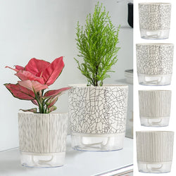 FLORANO Blumentopf | Kunststoff mit Wasserspeicher | Abnehmbar | Design Ice-Crack & Zebra