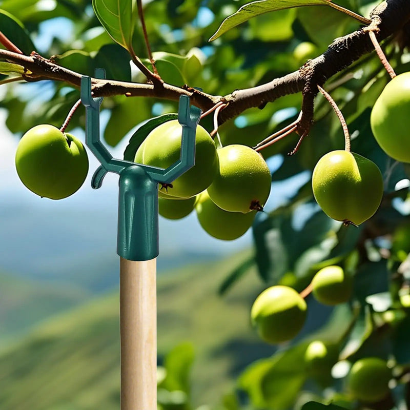 Planturax 5er-Set Aststützen aus Metall | Verstellbare Baumbügel für Obstbäume & Kletterpflanzen | Rostfrei & wiederverwendbar | 10 × 6 cm
