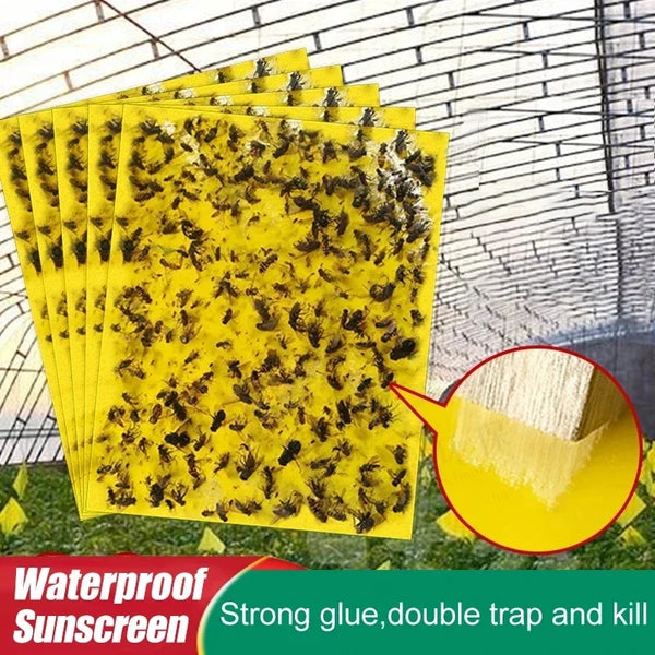 Vermixo Fruchtfliegenfalle Gelb | 20 Stück Doppelseitig | Giftfrei & Umweltfreundlich | Klebefallen für Insekten