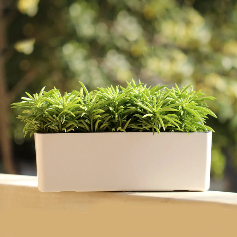 AquaFloraBox Selbstbewässernder Blumenkasten | Rechteckiger Pflanzkübel mit Wasserstandsanzeige | Für Balkon, Garten & Büro