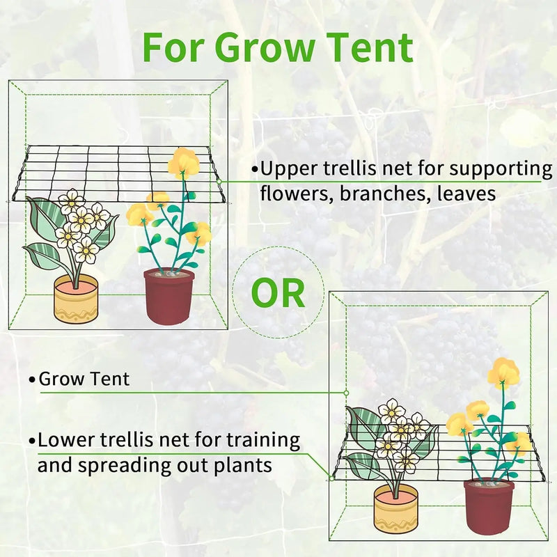 FlexiGrow Net | Elastisches Ranknetz mit Haken | 10 × 10 cm Maschen | Für Growbox, Pflanzen & Hydrokultur