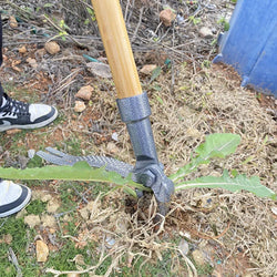 Terragrupp RootClaw Unkrautstecher mit Klauen | Aus robustem Stahl & Fußpedal | Für alle Böden