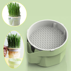 GreenPaws Keimschale | Cat Grass Pflanzbecher | Aus lebensmittelechtem PP | Für Weizengras, Bohnen & mehr | Ohne Erde