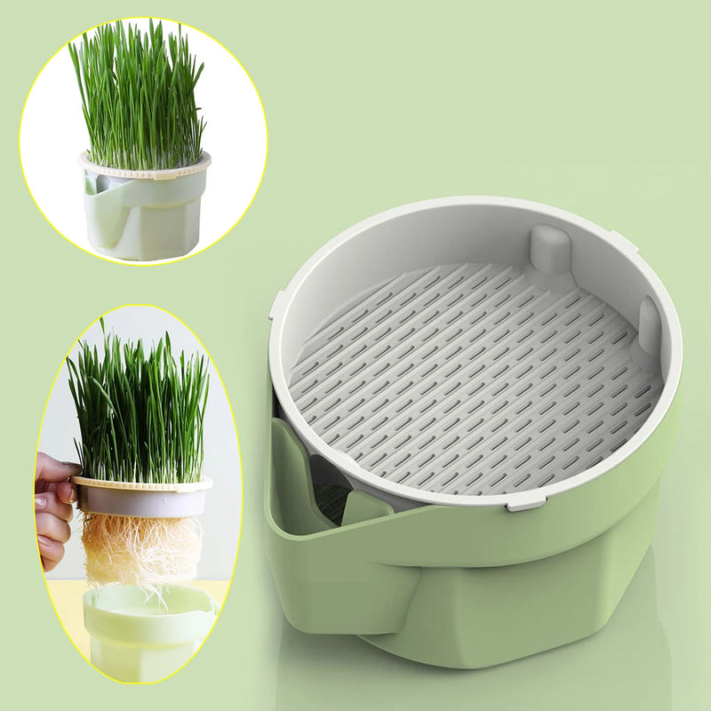 GreenPaws Keimschale | Cat Grass Pflanzbecher | Aus lebensmittelechtem PP | Für Weizengras, Bohnen & mehr | Ohne Erde