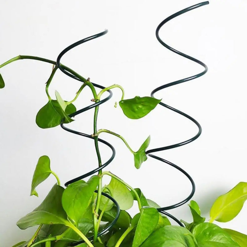 Spiravita Rankstäbe Tomaten Spiralstäbe 10er-Set | 40 cm Länge | Wetterfest & Stabil | Für Kletterpflanzen & Gemüse