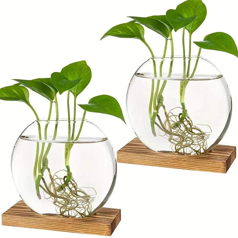 Verdura 2er-Set Glas Terrarium mit Holzständer | Reagenzglas-Vasen für Stecklinge & Hydrokultur | Moderne Deko für Zuhause & Büro