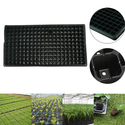 GerminaX Anzuchtplatte mit 200 Zellen | 53 × 27 cm | Für Gemüse, Obst & Kräuter | Wiederverwendbare Keimschale aus PVC