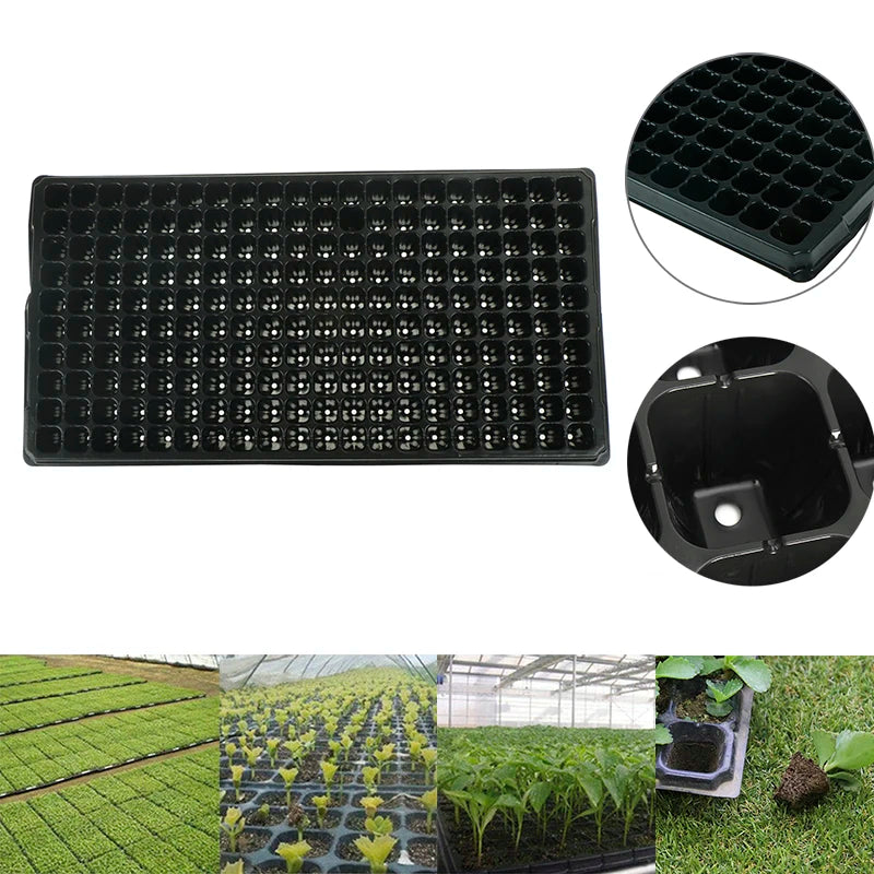 GerminaX Anzuchtplatte mit 200 Zellen | 53 × 27 cm | Für Gemüse, Obst & Kräuter | Wiederverwendbare Keimschale aus PVC