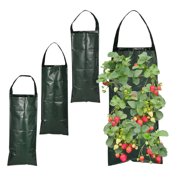 VertiBloom Wand-Pflanztasche für Erdbeeren & Kräuter | 6/8/10 Taschen | Vertikaler Garten Pflanzsack aus PE für Innen & Außen