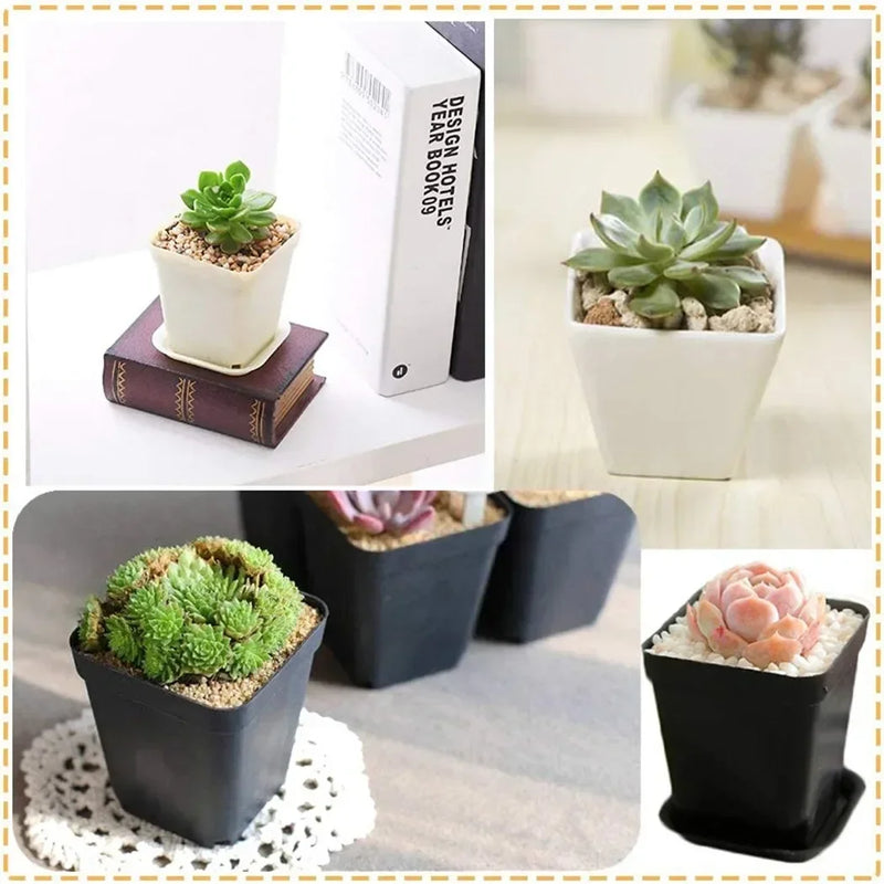 Floravio Blumentopf Set | Robuster Kunststoff | Mit Drainagelöchern | Buntes 20er-Set