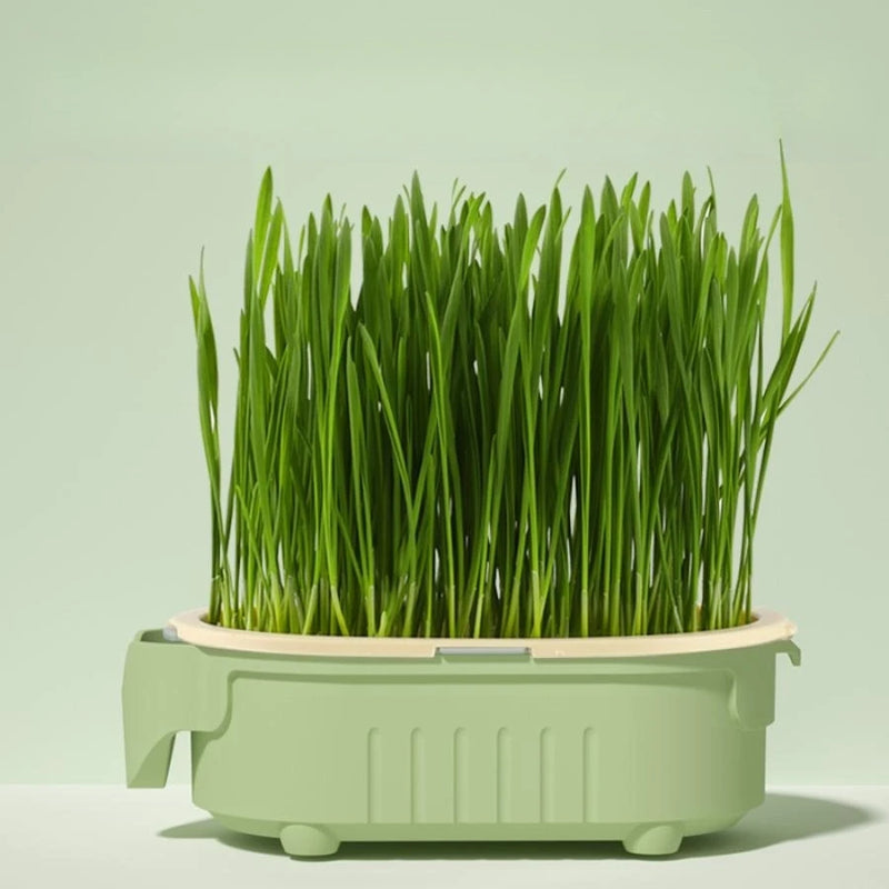 Hydrokultur-Pflanzbecher Plantiva EasyGrow | Für erdlose Anzucht & Hydrosysteme | Wiederverwendbar & atmungsaktiv