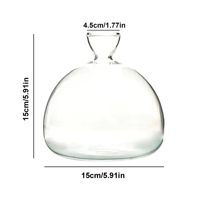 Avocado Vase Glas | Transparentes Keimglas | Pflanzgefäß für Avocado-Anzucht | 10–15 cm