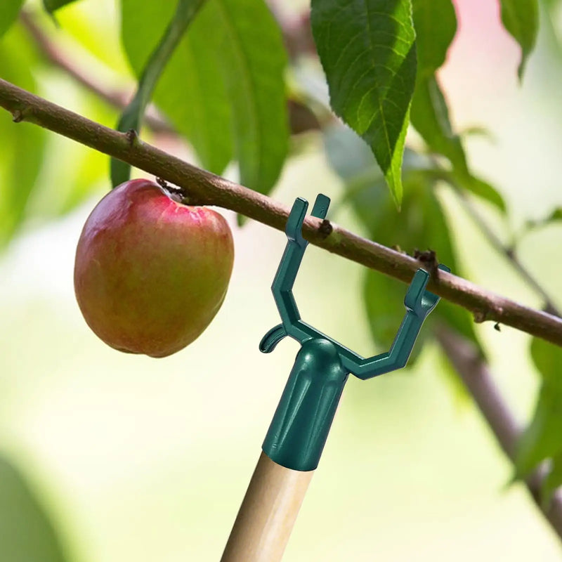 Planturax 5er-Set Aststützen aus Metall | Verstellbare Baumbügel für Obstbäume & Kletterpflanzen | Rostfrei & wiederverwendbar | 10 × 6 cm