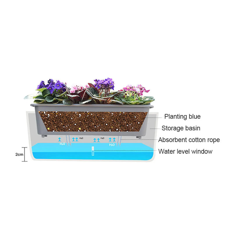 Plantory DuoFlow Selbstbewässernder Blumentopf | Doppelkammer-Design mit Wasserstandsanzeige | 43,5 x 12 x 11 cm | Für Kräuter & Zimmerpflanzen