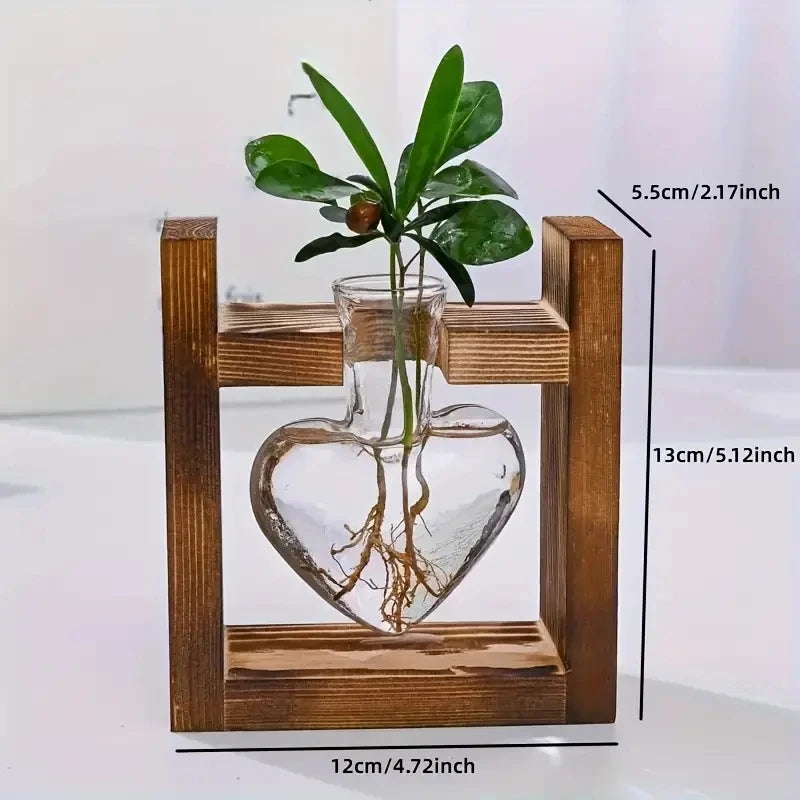 Hydrokultur-Vase Virella | Herzförmiges Glas im Holzrahmen | Dekorativ & Modern | Für Ableger & Zimmerpflanzen