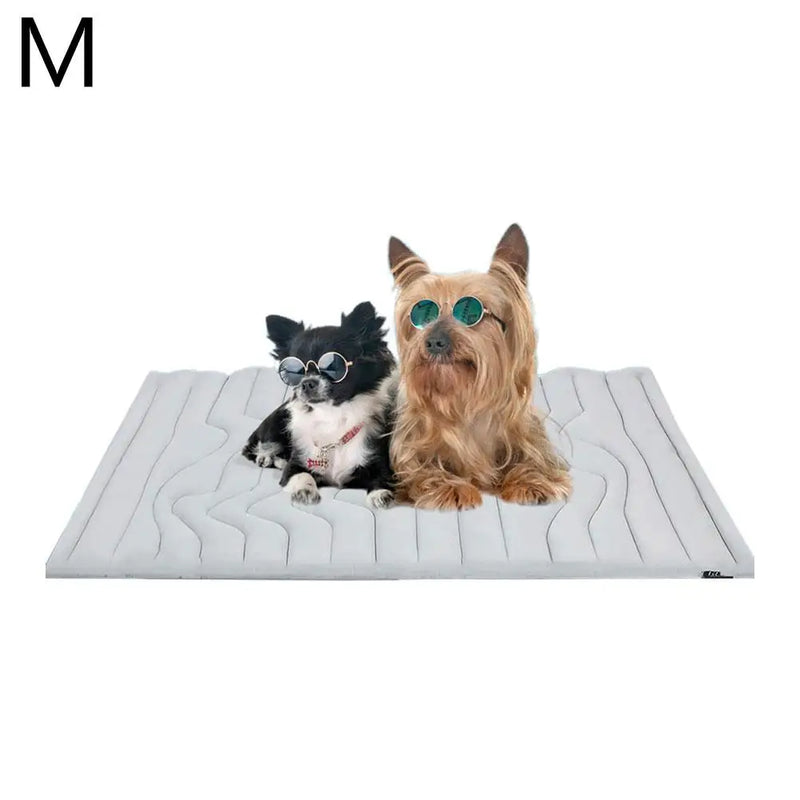 FrostPaws Kühlmatte für Hunde & Katzen | Wiederverwendbar & Gelgefüllt | Für Sommer & Reisen | PVC