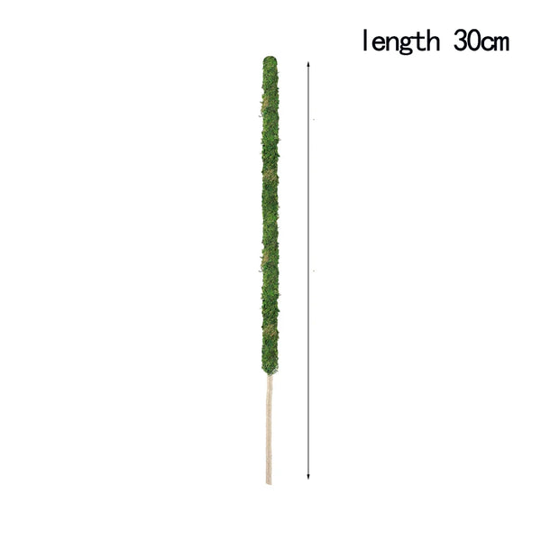 GreenFlex MossPole Biegsame Moosstäbe für Pflanzen | Handgefertigte Rankhilfe für Monstera & Zimmerpflanzen | 45 × 3 cm