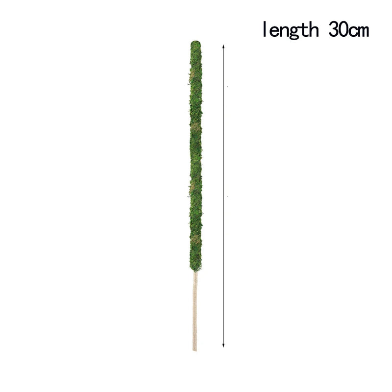 GreenFlex MossPole Biegsame Moosstäbe für Pflanzen | Handgefertigte Rankhilfe für Monstera & Zimmerpflanzen | 45 × 3 cm