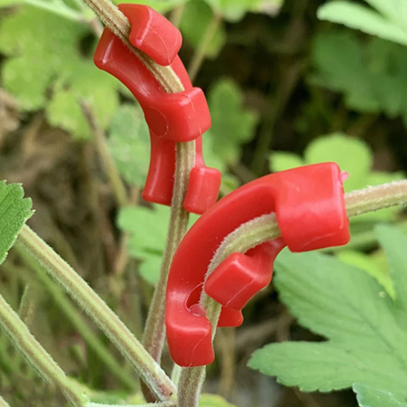GrowFlexx Pflanzenbiege-Clips 90° | Wachstumstrainer für Zweige & Triebe | 10–50 Stück | Low-Stress-Training für höhere Erträge