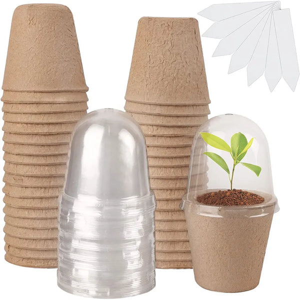 Plantivo Biologisch abbaubare Anzucht-Töpfe 10er-Set | Mit Gewächshausdeckel | Für Gemüse, Kräuter & Blumen | Nachhaltige Keimhilfe