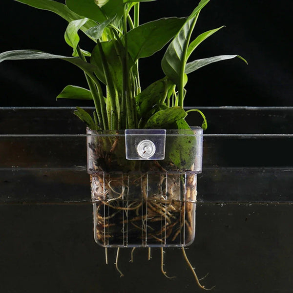 AquaBloom Pflanzenkorb für Aquarium | Transparenter Hängekorb | Für Aquarienpflanzen & Dekoration