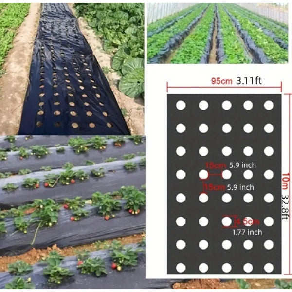 AgroShield Unkrautvlies | Schwarze Mulchfolie | Pflanzenschutz & Ertragssteigerung | Ideal für Gewächshäuser