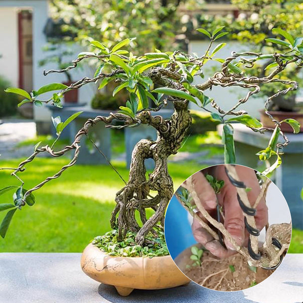 FORMALUX Bonsai- & Basteldraht | Aluminiumdraht mit Kunststoffbeschichtung | Flexibel & Rostfrei