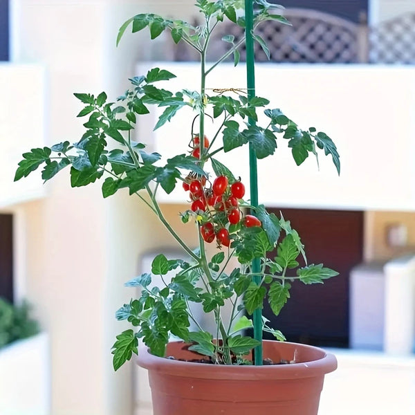 Planture Pro Gartenpflanzstäbe | 50er Set | Wetterfest & Stabil | Grün