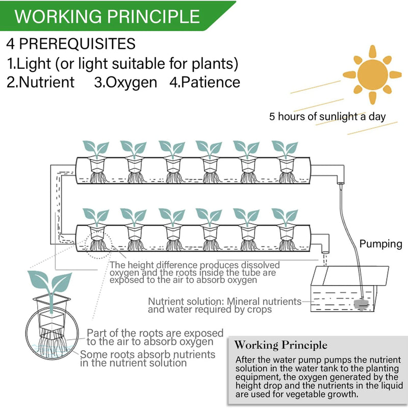 HydroGrow36 | Hydroponisches Anzuchtsystem mit 36 Pflanzplätzen | PVC-Pipeline für Gemüse & Kräuter | Komplettes Hydroponik-Set