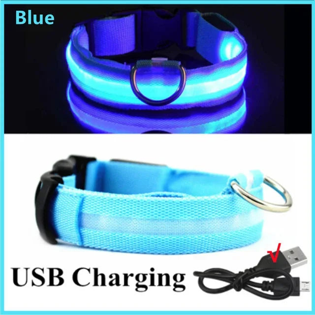 LUXPETS GlowSafe LED Hundehalsband | Leuchtend & Wiederaufladbar | Verstellbar & Wasserdicht | Anti-Verlust bei Nacht