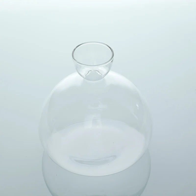 Avocado Vase Glas | Transparentes Keimglas | Pflanzgefäß für Avocado-Anzucht | 10–15 cm