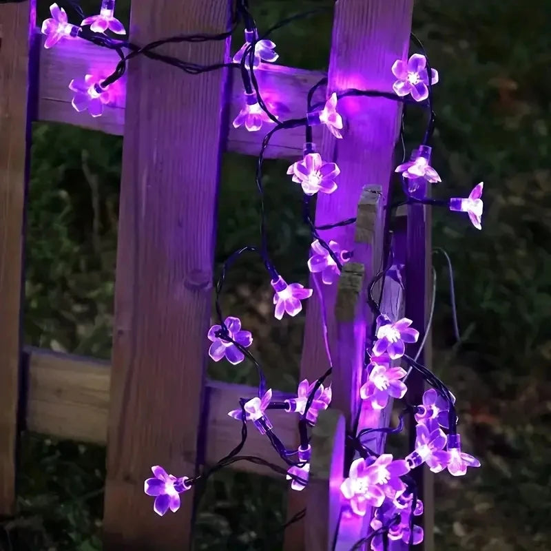 Solar Lichterkette LumiCord | Warmweißes LED-Licht | Energiesparend & Wetterfest | Für Garten, Balkon & Feste