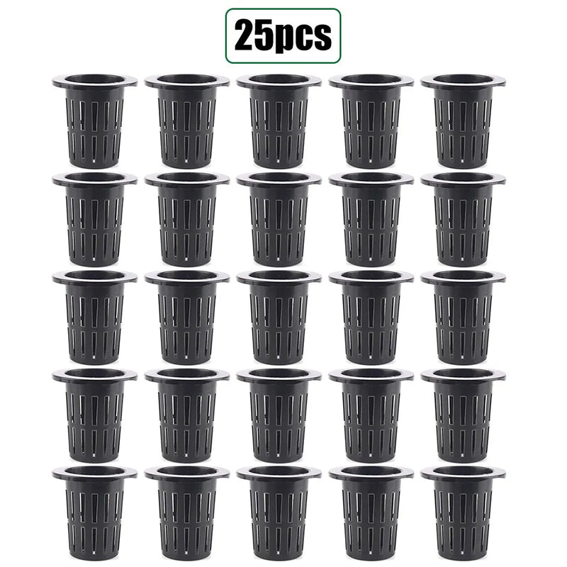 Hydroponik Pflanztopf-Set Plantiva NetCup 25er Set | Gitterkörbchen für Hydrokultur & Aeroponik | Wiederverwendbar & Stabil