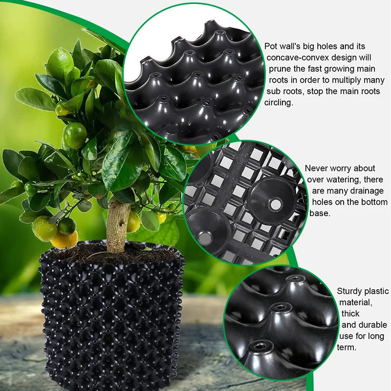 RootMaster Pro | Wurzelkontroll- & Aufzucht-Topf | Für Bonsai, Bäume & Sträucher | Schnelles Wurzelwachstum | PVC-Schale