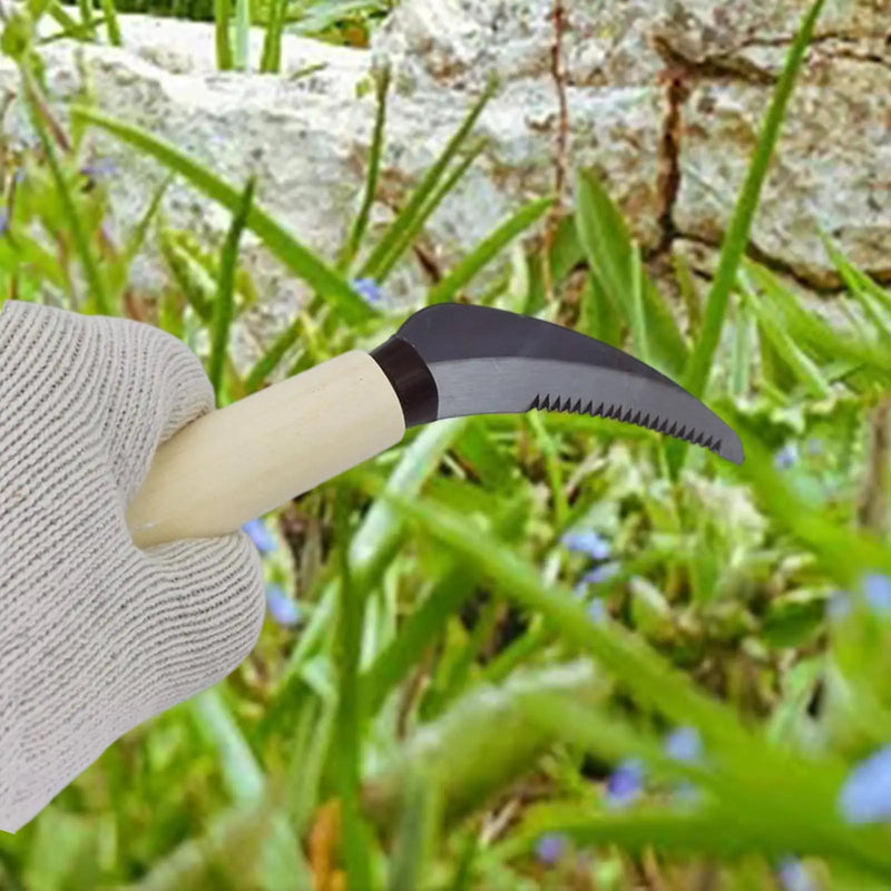 Horoji Japanisches Unkrautmesser | Edelstahlklinge & Holzgriff | Kompakt & Ergonomisch | Für Garten, Rasen & Bonsai
