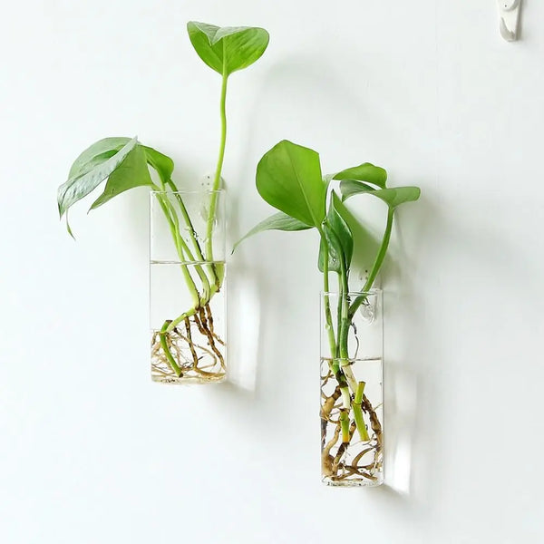 Glas Blumenvase | Transparent & Minimalistisch | Hitzebeständig & Korrosionsfest | 100 g