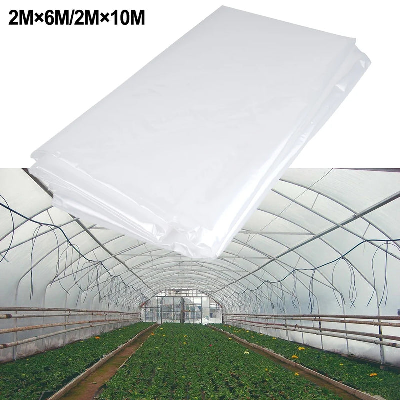Plantovia GrowCover Faltbare Gewächshausfolie | UV- & Wasserfest | Frostschutz & Frühbeet-Abdeckung | Aus robustem PE |