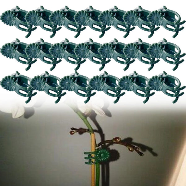 PlantClip Orchid | 20er-Set Pflanzenclips für Orchideen & Rankpflanzen | Wiederverwendbar & UV-beständig | In Grün oder Kaffeebraun
