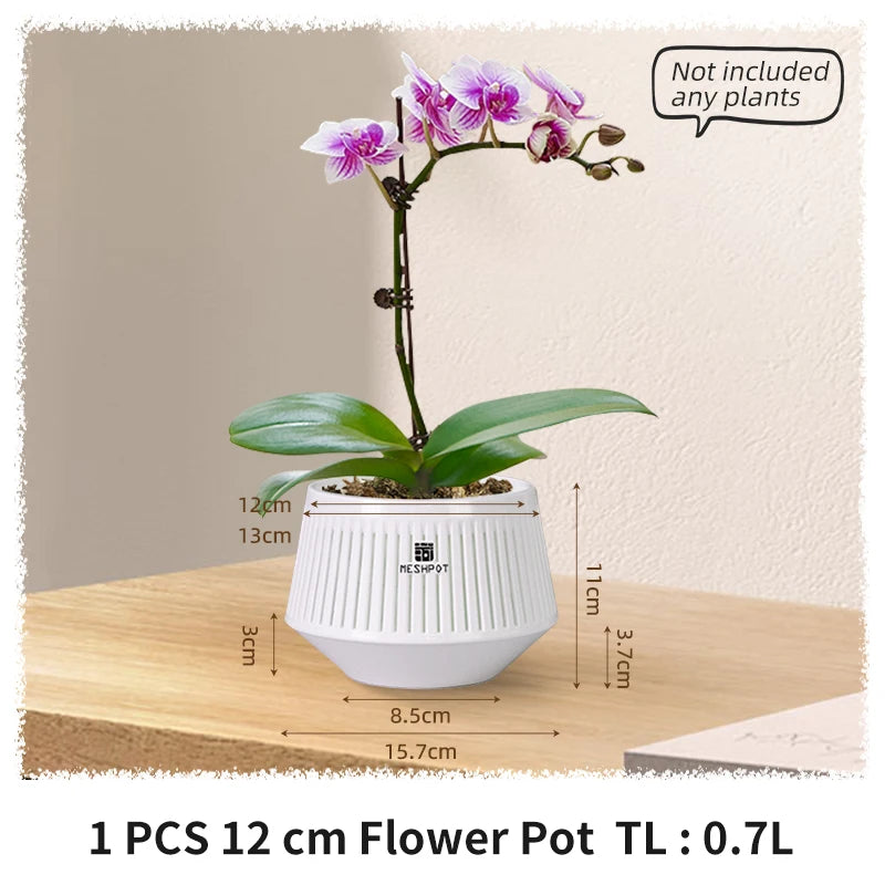 Aeroluna Orchideentopf mit Belüftungslöchern | Perfekte Drainage | Für Innen & Außen | 12 cm | Robustes PP-Material