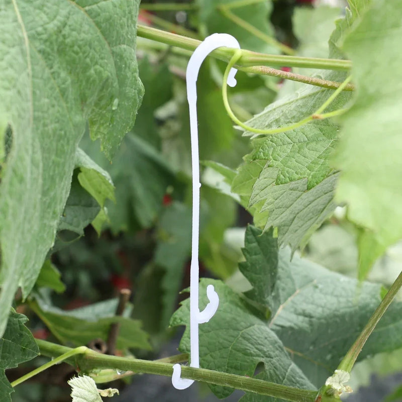 GrowHook J | Wiederverwendbare J-Haken für Tomaten & Kletterpflanzen | 9,5 cm / 13 cm / 16 cm | 1–100 Stück | Pflanzenhalter für Rankhilfe