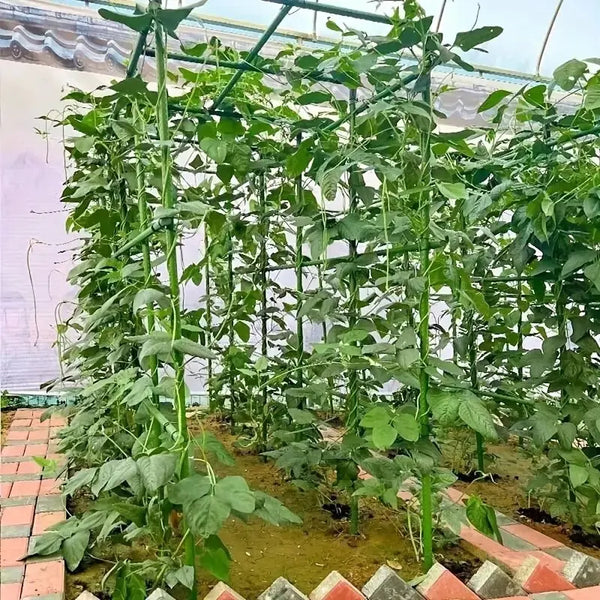 PlantFix Pro | 20er-Set Pflanzenstützen | Stabil & Vielseitig | Für Tomaten, Gurken & Kletterpflanzen