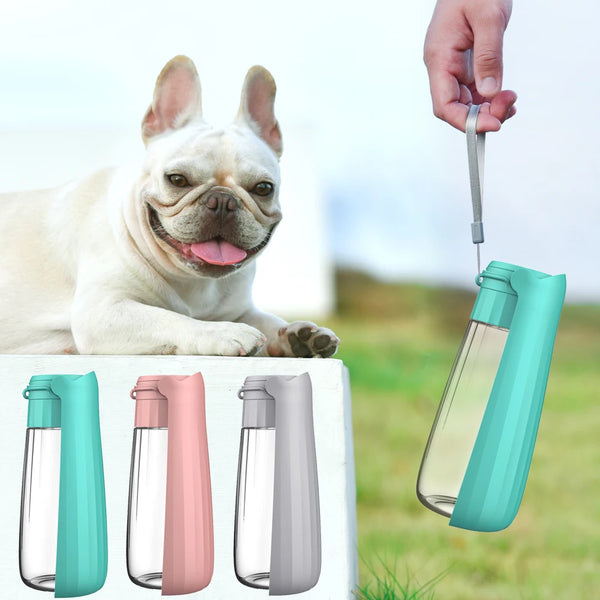 Hunde-Trinkflasche Lapuro FoldDrink | Faltbarer Wasserspender für unterwegs | 550 ml | Für kleine & große Hunde und Katzen