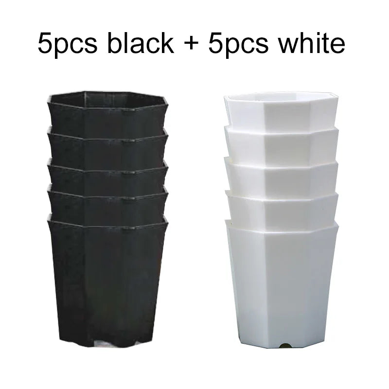 FloraForm Octa | 10er-Set Achteckige Blumentöpfe | Schwarz & Weiß | Atmungsaktiv | Für Sukkulenten & Setzlinge | Ø 8 cm
