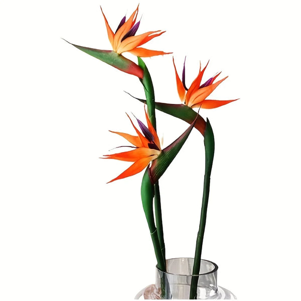 Floriva 3er Set Künstliche Strelitzien | Paradiesvogelblumen | 24.5 cm Lange Stiele | Deko für Zuhause, Büro & Events