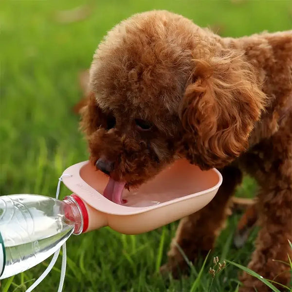 AquaPawGo Trinkflasche für Hunde & Katzen | Passend für Standard-Wasserflaschen | Tragbar & Drückbar | Für Unterwegs