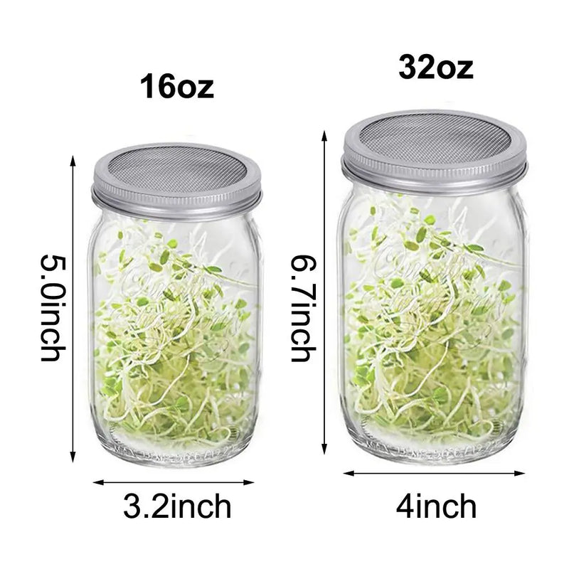 VitaKeim Keimglas Set | Edelstahl-Siebdeckel | Für frische Sprossen zuhause | 16oz & 32oz