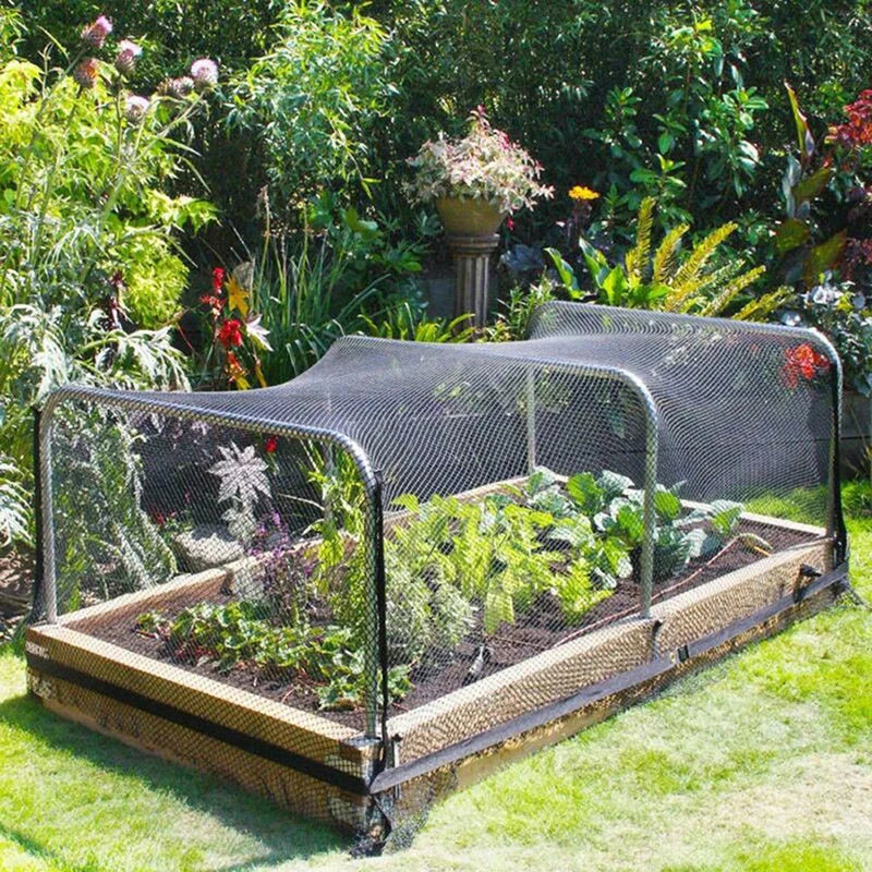 Pflanzenschutznetz AgriSafe NetzPro | UV-beständig & wasserdicht | Vogel- & Insektenschutz | Für Garten, Obst & Gemüse