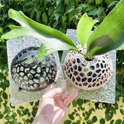Aquaflora Pflanzenschutz-Abdeckung für Blumenerde | 15 × 7,5 cm | Für Wasserpflanzen & Orchideen | Abnehmbar & Wiederverwendbar